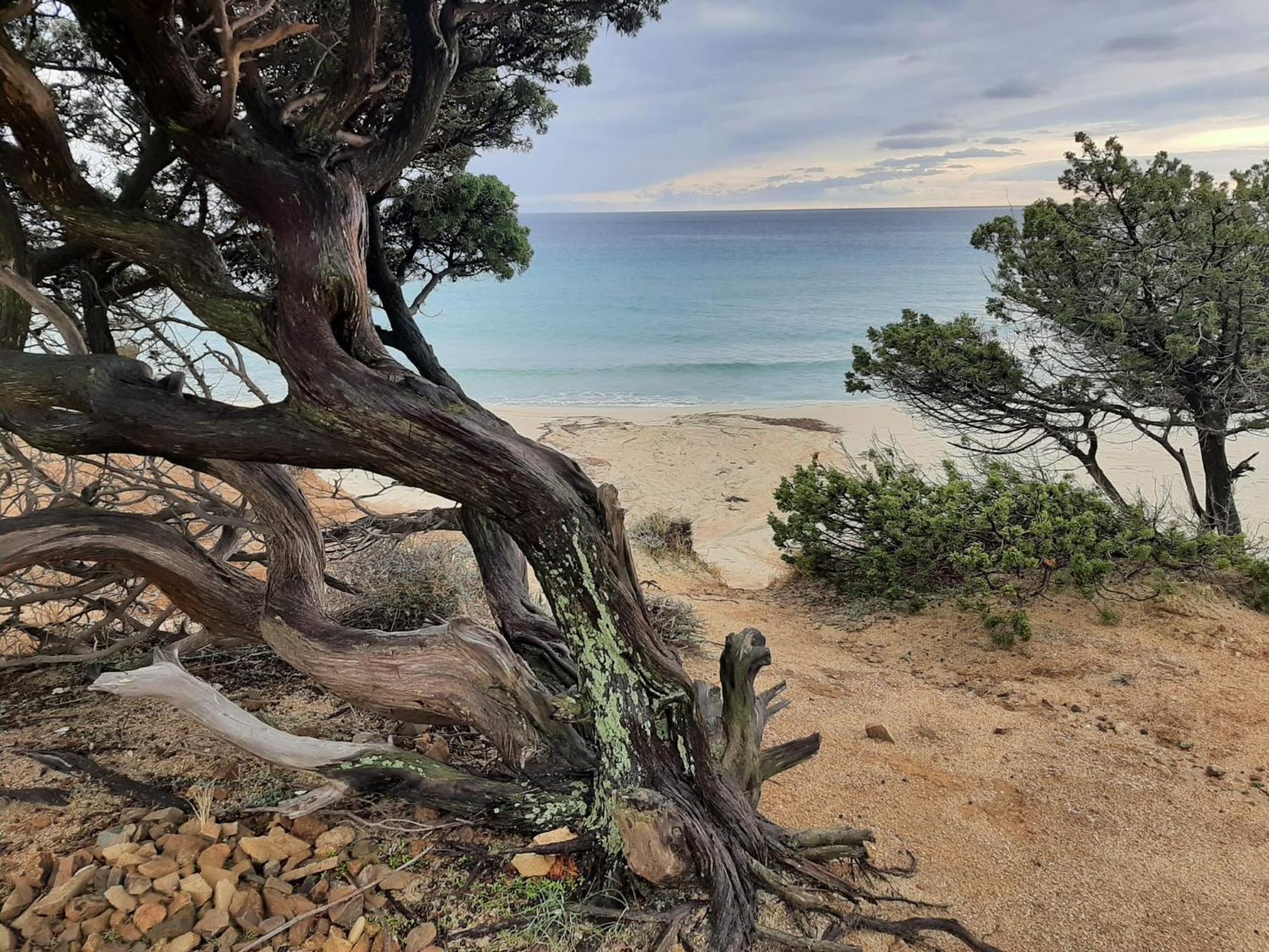 Resonance Experience - Tranquil Room Close To Beaches And Sacred Sites Sant Isidoro  Exterior foto