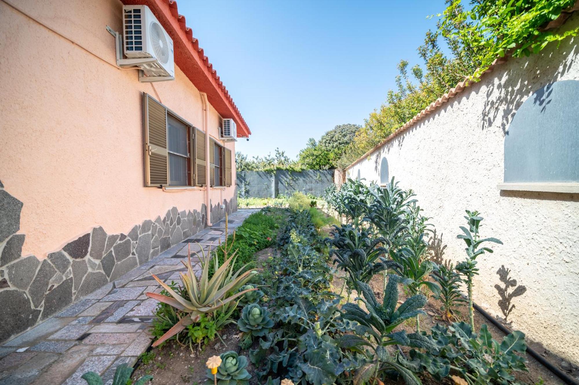 Resonance Experience - Tranquil Room Close To Beaches And Sacred Sites Sant Isidoro  Exterior foto
